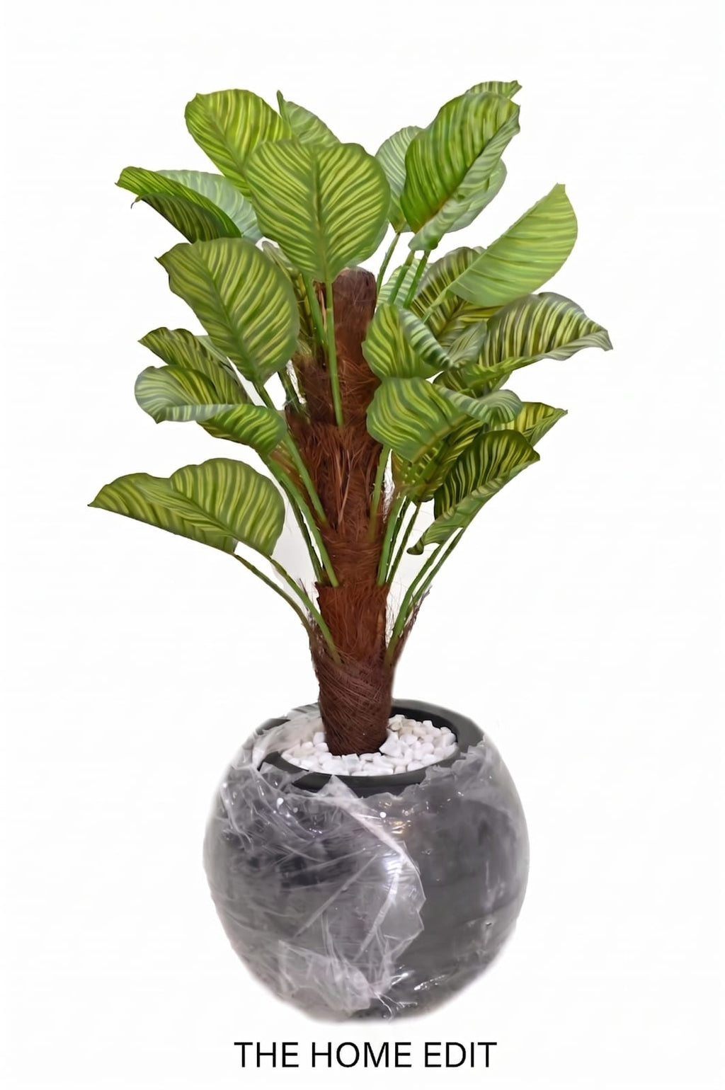Signature Calathea Orbifolia Faux Tree & Globe Planter Set