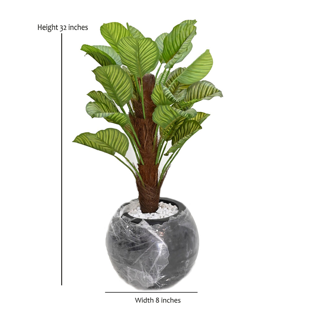 Signature Calathea Orbifolia Faux Tree & Globe Planter Set