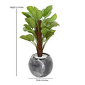 Signature Calathea Orbifolia Faux Tree & Globe Planter Set