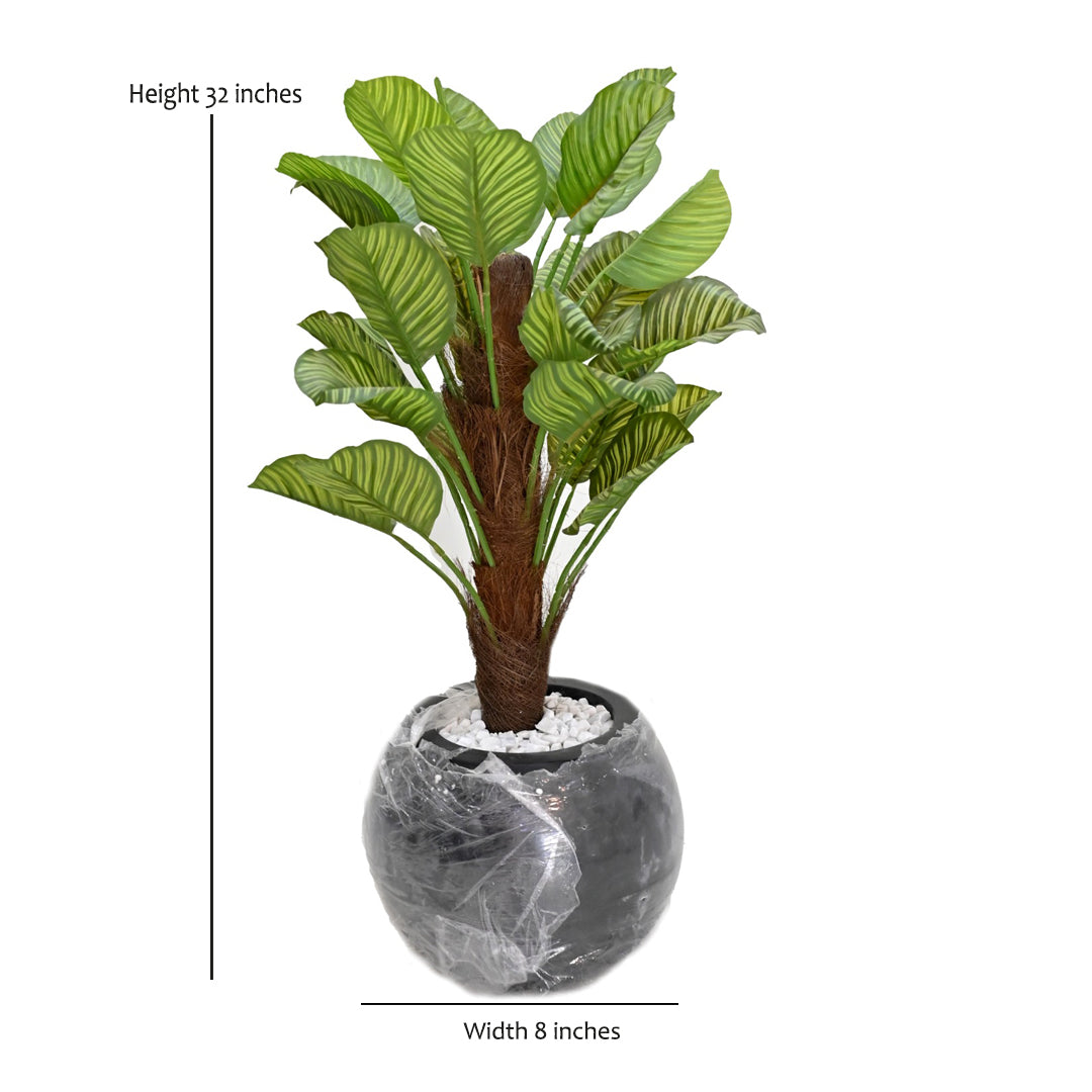 Signature Calathea Orbifolia Faux Tree & Globe Planter Set